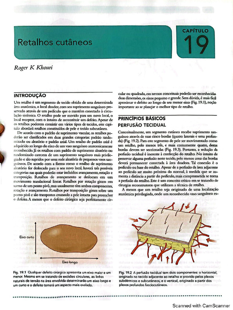 Retalhos Cutâneos | PDF