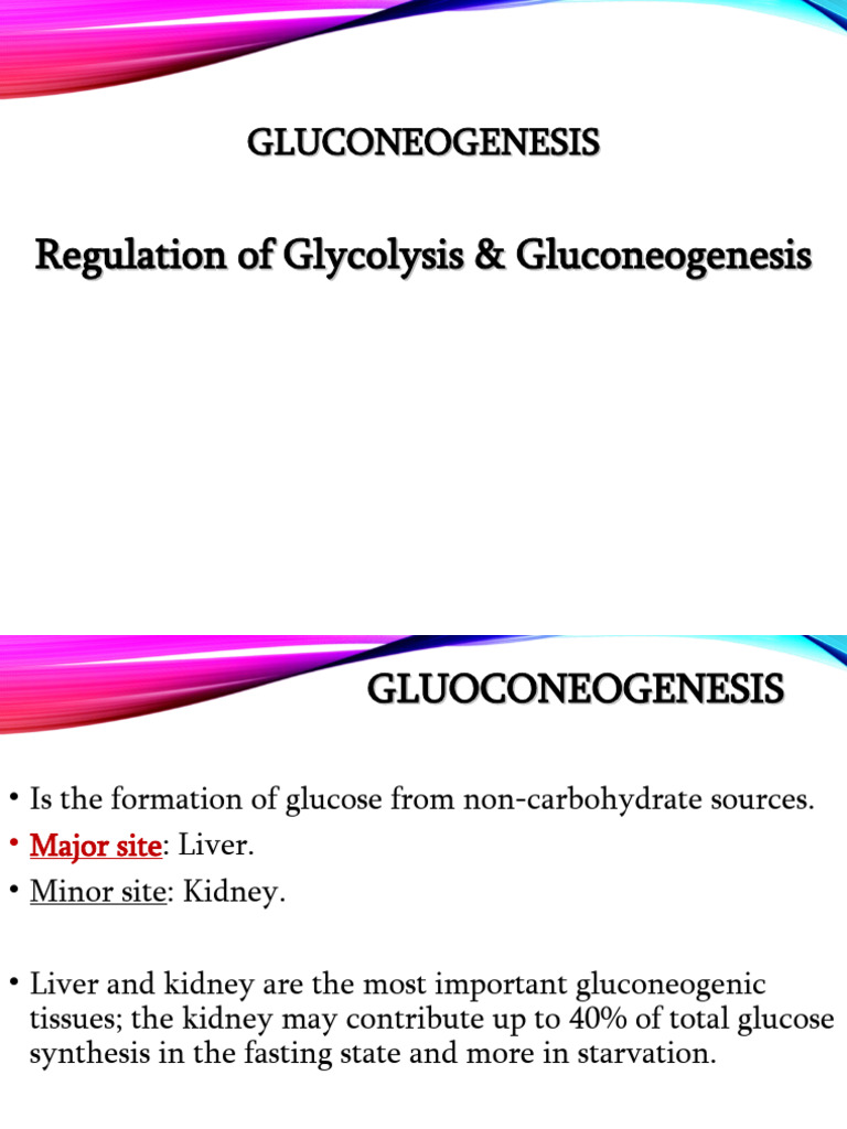3 gluconeogenesis pdf glycolysis pyruvic acid