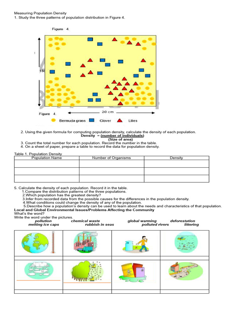 Calculating and Analyzing Population Density | PDF