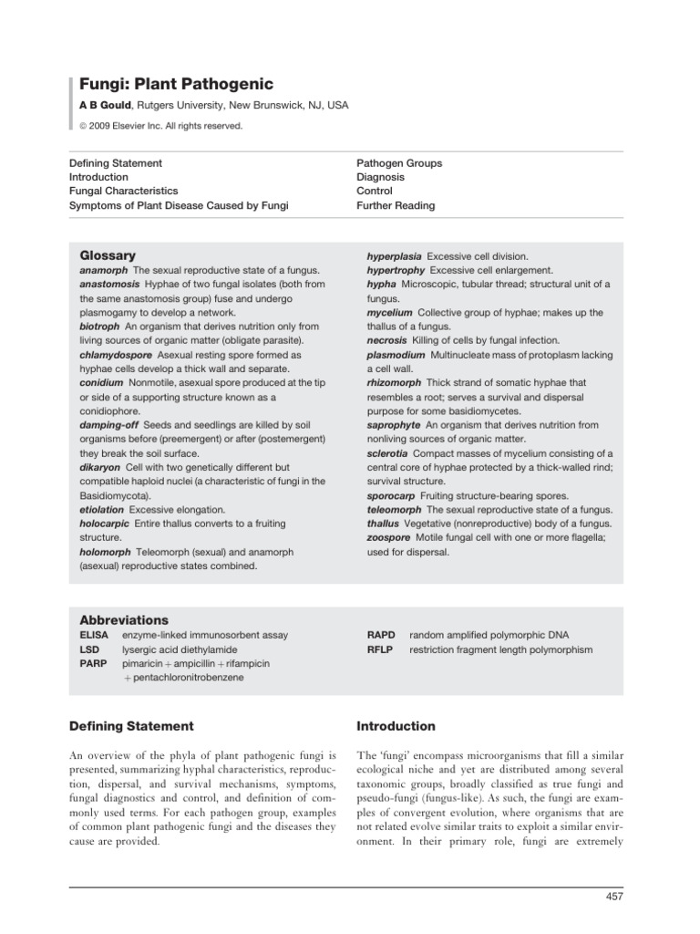 Overview of Plant Pathogenic Fungi | PDF | Fungus | Spore