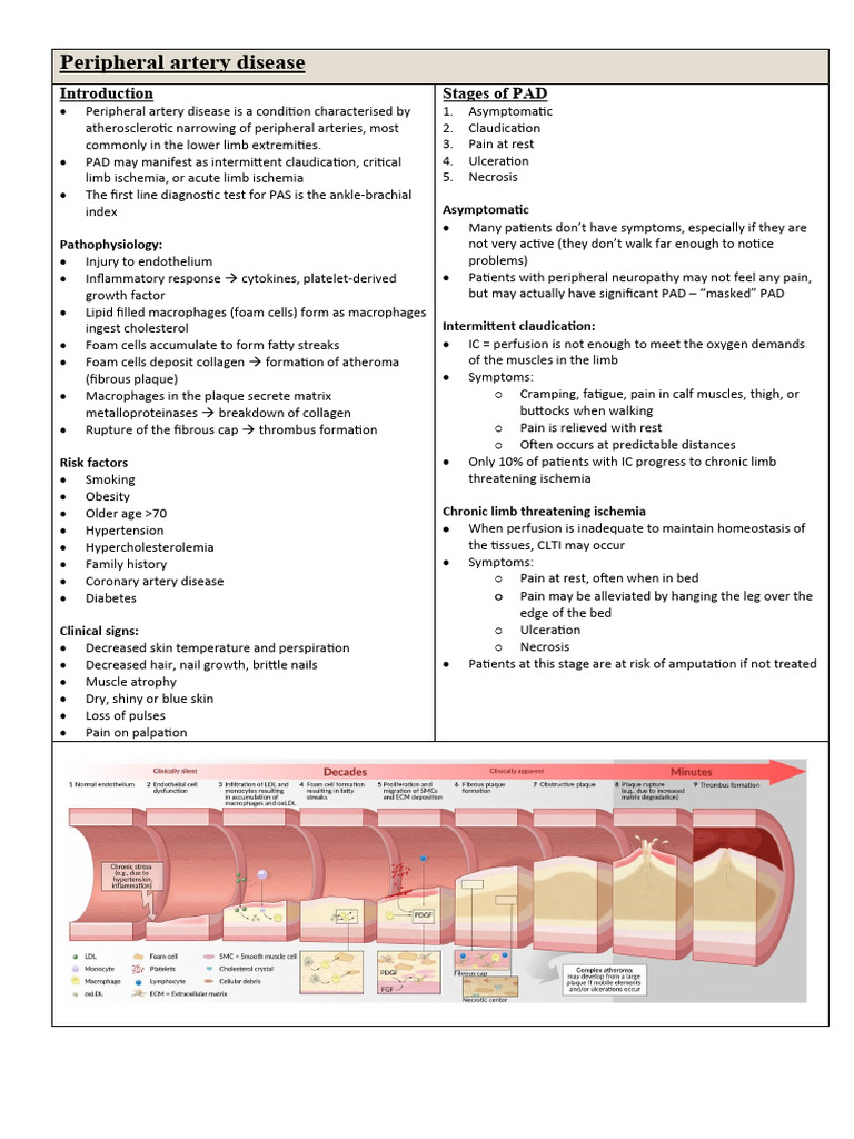 Y2-1.5 Peripheral Artery Disease | PDF | Ischemia | Atheroma