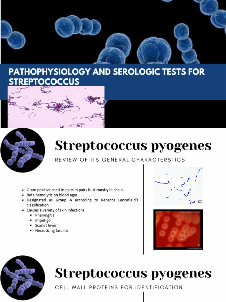 Strep | PDF | Streptococcus | Biology