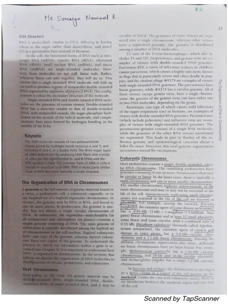 SR | PDF