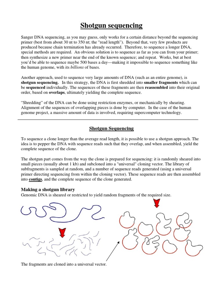 Shotgun Sequencing Explained | PDF | Science & Mathematics