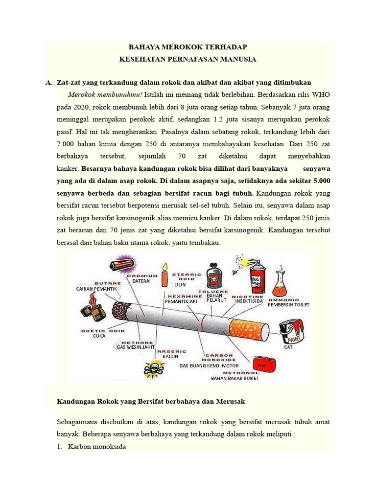 Bahaya Merokok bagi Kesehatan Paru-paru | PDF | Kesehatan Holistik