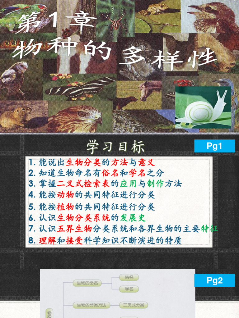 J3 USC 20200528 下册第1章物种的多样性| PDF, image size:768x1024