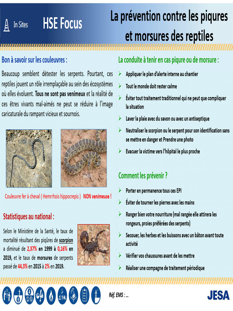 Kit Antivenin Serpent Ancien – Johnson And Johnson, Boîte Orange Vintage (original)