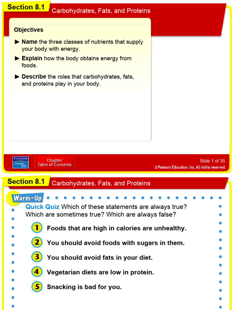 Carbs Fats And Protein Pdf Fat Carbohydrates