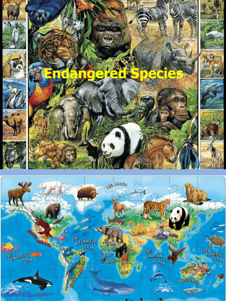 Endangered Species in India Overview | PDF | Endangered Species | Lion