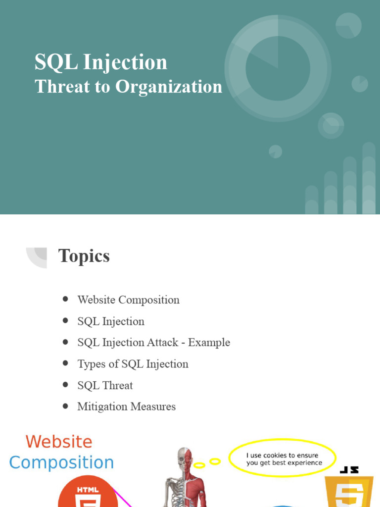 SQL Injection Threat To Organization | PDF | Computers