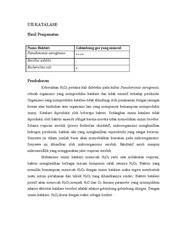 Hasil Uji Katalase pada Bakteri Pseudomonas aeruginosa, Bacillus ...
