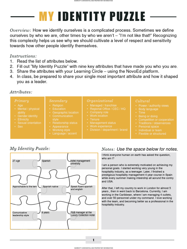 Envision Identity Puzzle Editable | PDF | Identity (Social Science ...