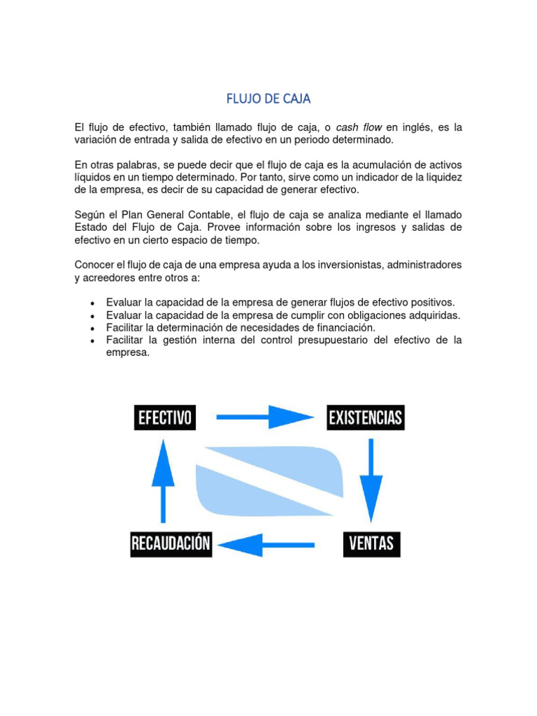 Flujo de Efectivo o Caja 18-02-2023 | PDF | Flujo de efectivo | Business