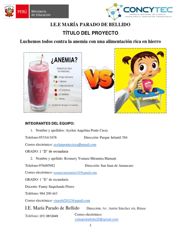 INFORME CIENTÍFICO PROYECTO CONTRA LA ANEMIA | PDF | Nutrición | Dieta ...
