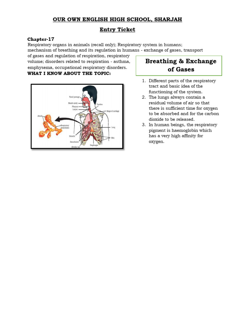 Grade 11 - Entry Ticket - Chapter 17 - Breathing & Exchange of Gases | PDF