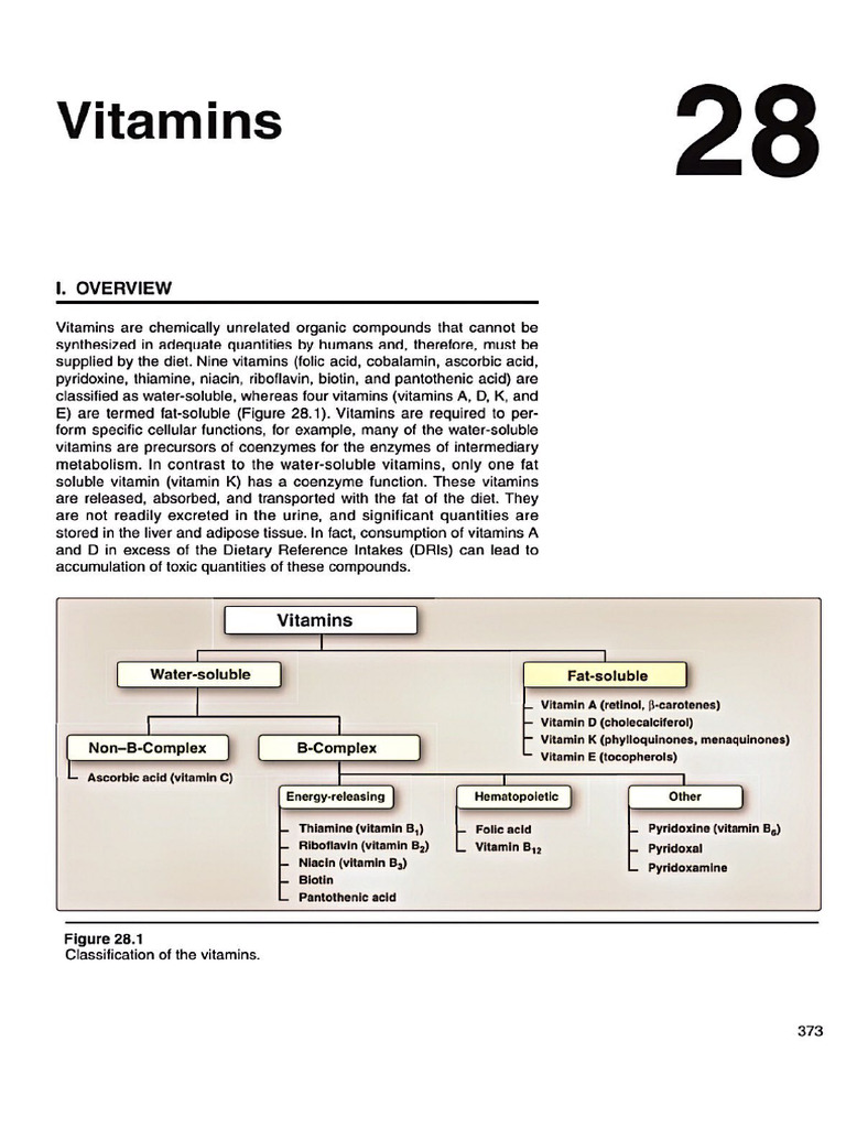 Vitamin | PDF