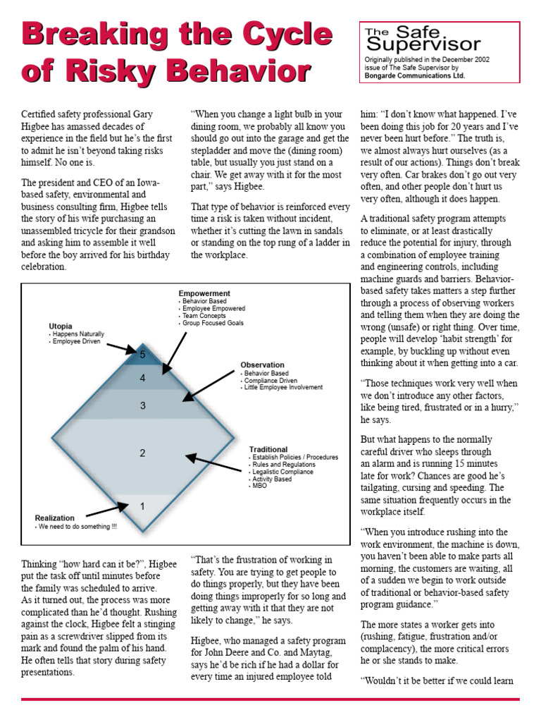 Breaking The Cycle of Risky Behavior | PDF | Safety | Ladder