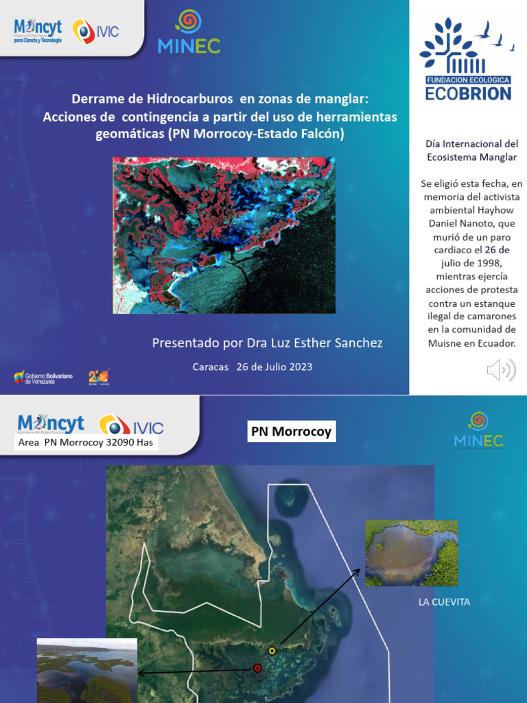 Derrame de Hidrocarburos en Zonas de Manglar: Acciones de Contingencia ...