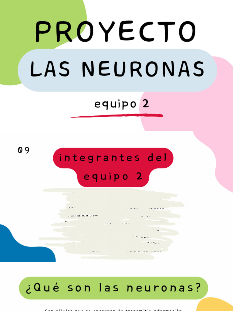 Estructura y Función de las Neuronas | PDF | Neurona | Sinapsis