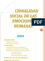 Trabajo Grupo E-TEM (Funcionalidad Social de Las Emociones