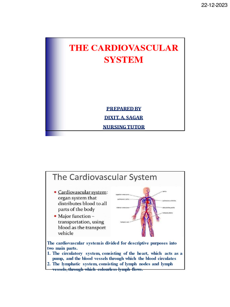 Anatomy Heart 110135 Pdf Heart Valve Heart