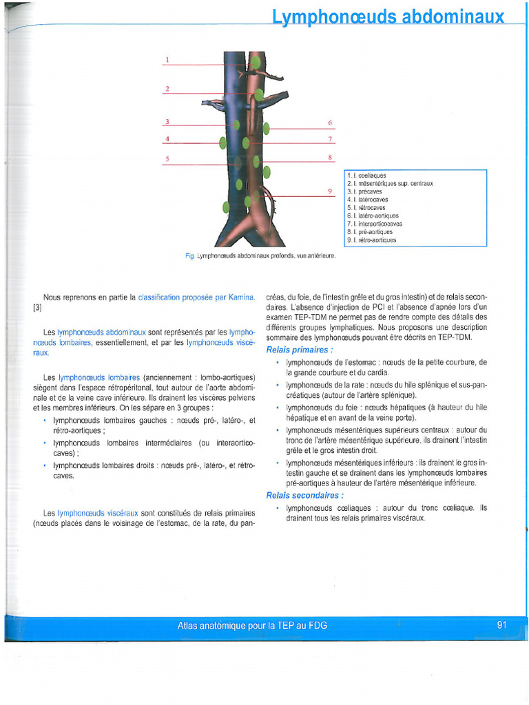 Antares Longue Circonférence Anatomique - Pour Un Maintien Optimal - Neuf Sous Emballage