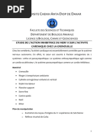 BREF Test Memorie Functii Executive | PDF | Troubles neurologiques ...