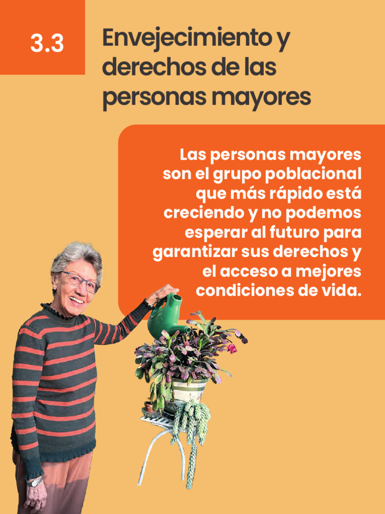 3.3. Envejecimiento y Derechos de Las Personas Mayores | PDF ...