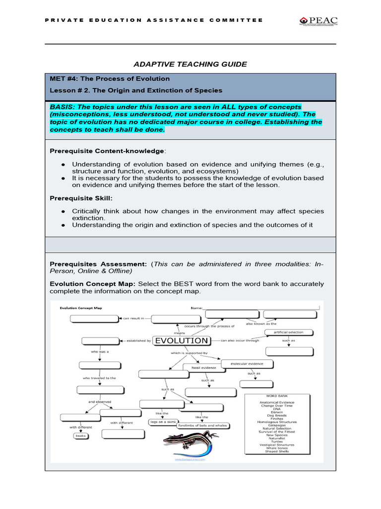 ATG - Origin and Extinction of Species | PDF | Natural Selection ...