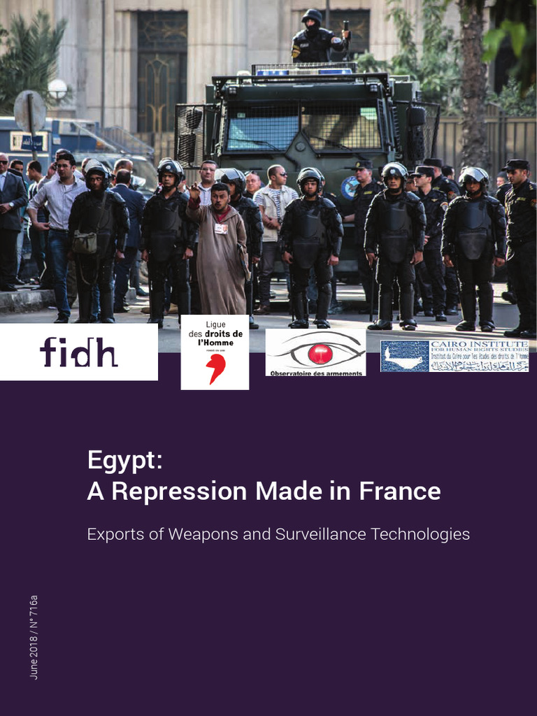 France's Role in Egypt's Repression | PDF | Egypt | Political Repression