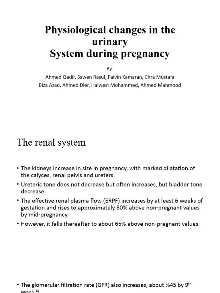 Physiological Changes in The Urinary During Pregnancy | PDF | Wellness ...