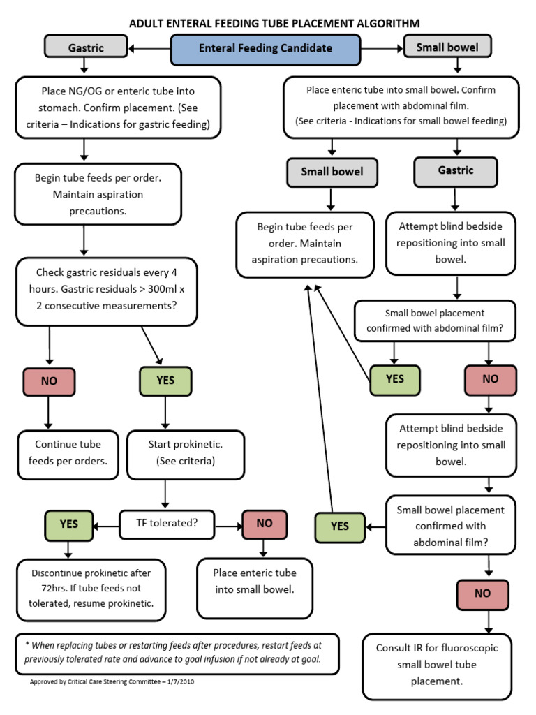 Enteral Feeding Candidate Small Bowel Adult Enteral Feeding Tube ...