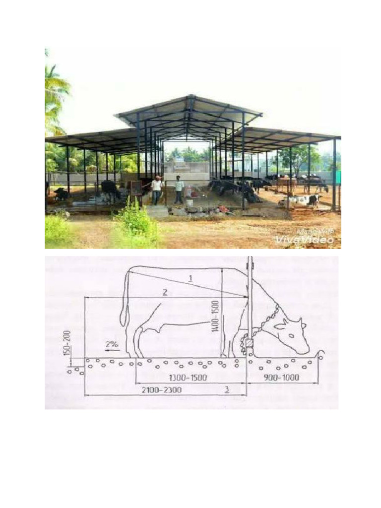 Barn Design | PDF
