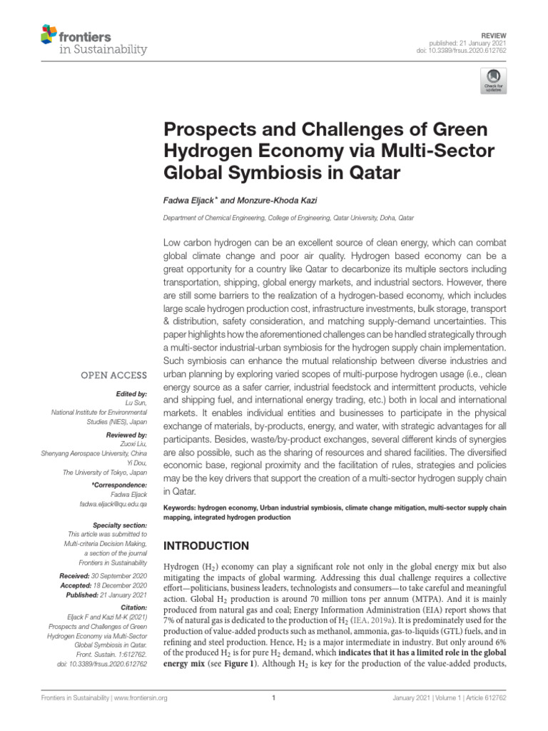 Prospects and Challenges of Green Hydrogen Economy Via Multi-Sector ...