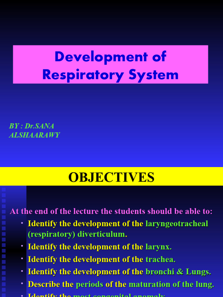 Development of the Respiratory System | PDF | Respiratory Tract | Lung