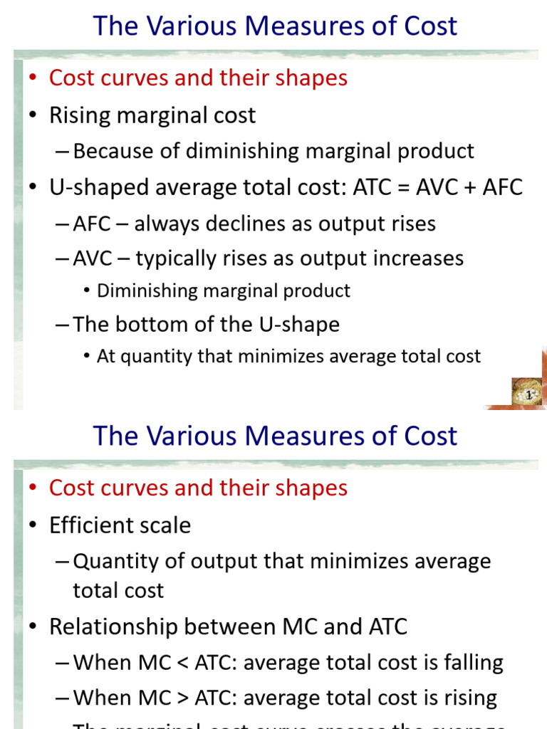 Understanding Cost Measures in Economics | PDF | Average Cost ...
