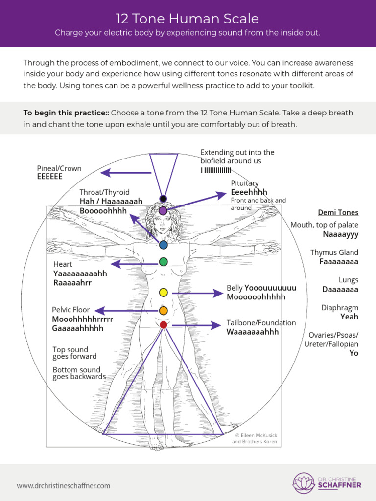12 Tone Human Scale for Wellness | PDF | Animal Physiology | Endocrine ...