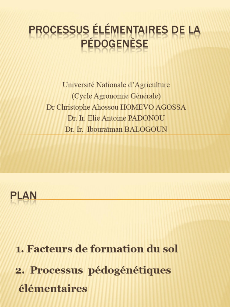 Processus Elementaires de La Pedogenese-2 | PDF | Sol (pédologie) | Sable