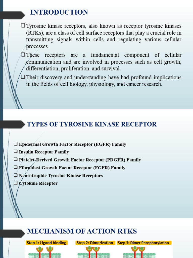 Tyrosine Kinase Receptor Copy | PDF | Tyrosine Kinase | Receptor ...