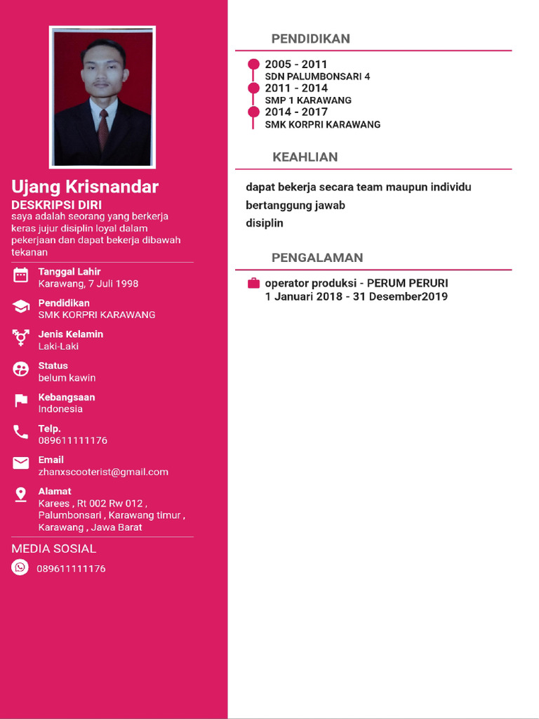 Contoh cv pdf