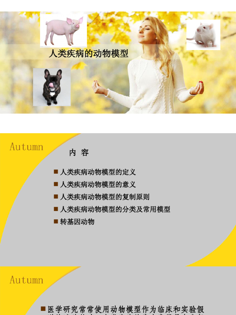 第七章动物模型| PDF, image size:768x1024