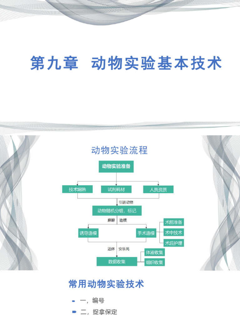 PPT - 动物石蜡切片的制作及HE 染色PowerPoint Presentation - ID:6490744, image size:768x1024