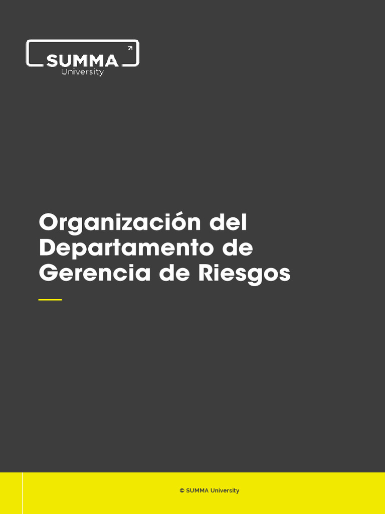 Organizacion Del Departamento de Gerencia de Riesgos | PDF | Business