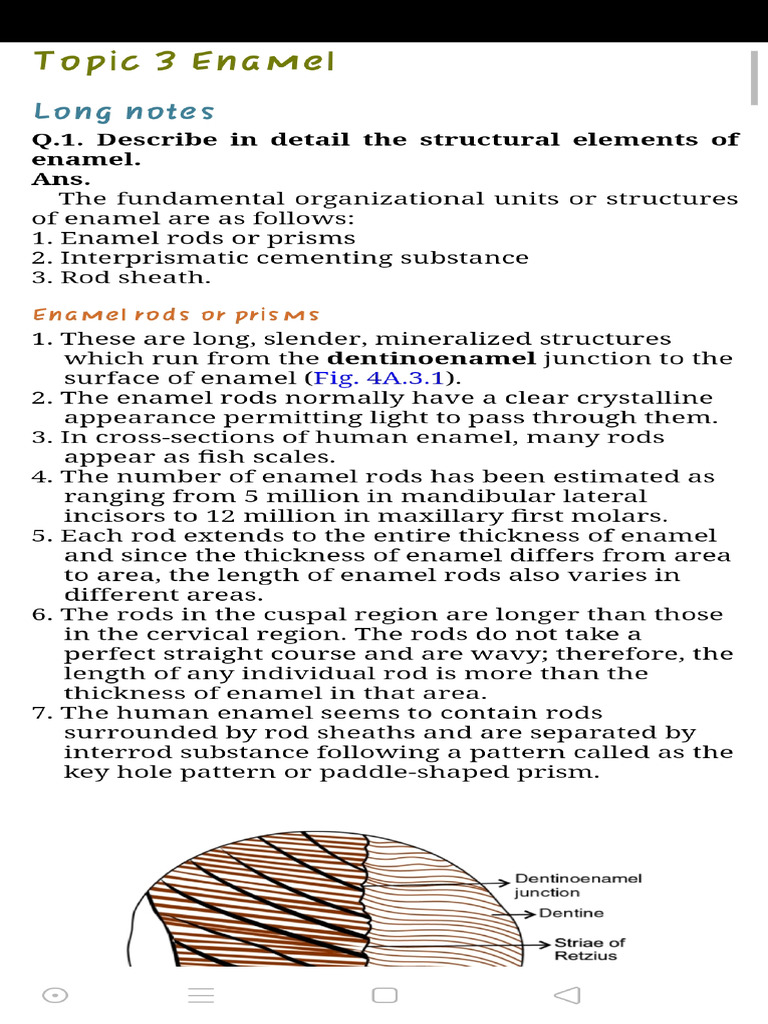 ENAMEL | PDF