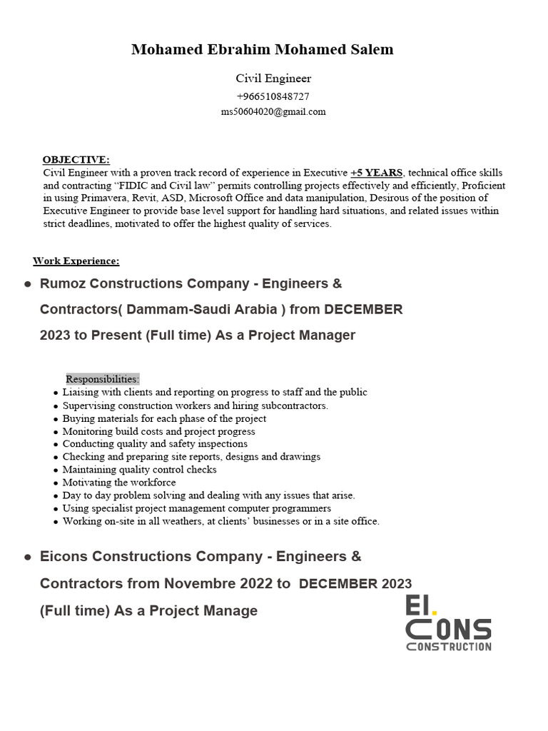 Project Manger Pdf Engineering