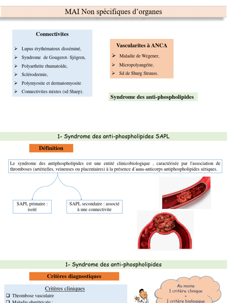 Connectivites et syndromes auto-immuns | PDF | Maladies et troubles ...