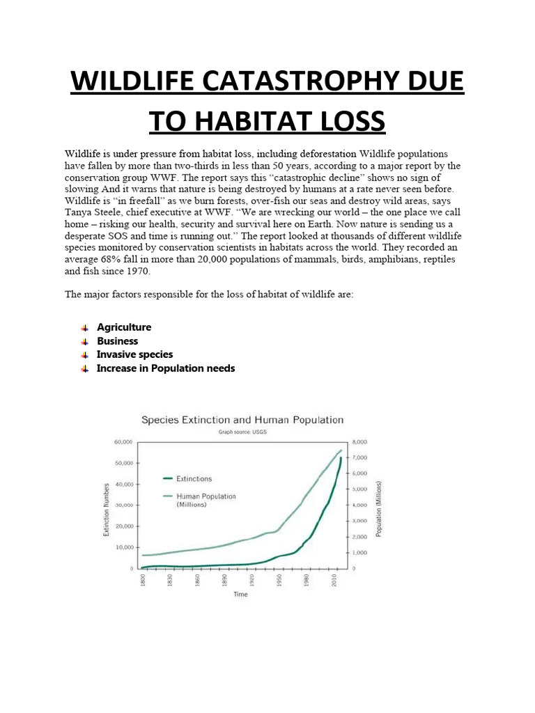 Wildlife Catastrophy Due To Habitat Loss | PDF | Technology & Engineering