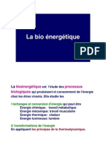 Bio énergétique_cours