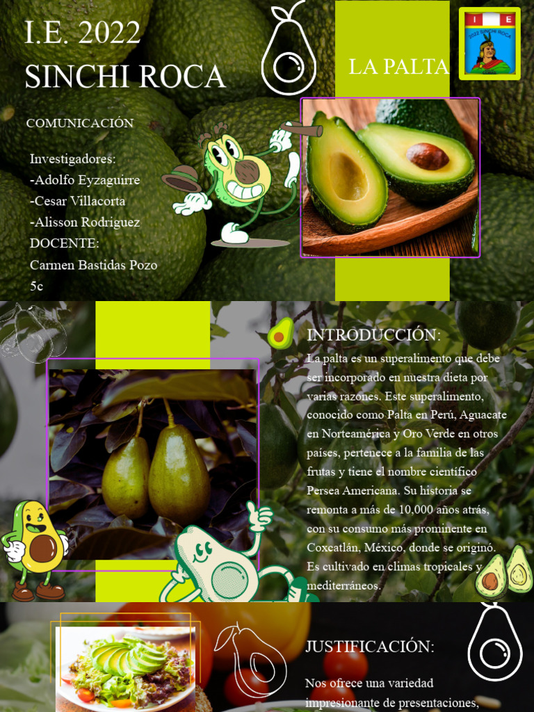 Beneficios de la Palta en la Dieta | PDF