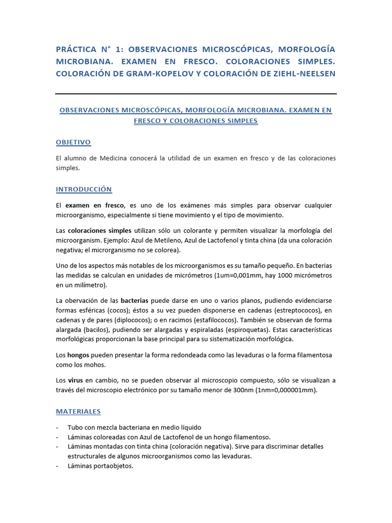 Práctica #1 Observaciones Microscópicas, Morfología Bacteriana ...